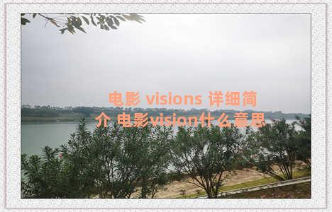 电影 visions 详细简介 电影vision什么意思